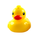SQUISHI DUCK