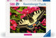 Butterfly- 500 pcs