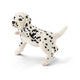 Schleich Dalmatian puppy