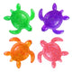 Goolala - Turtley Awesome Squishies