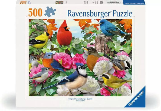 Garden Birds- 500 pcs