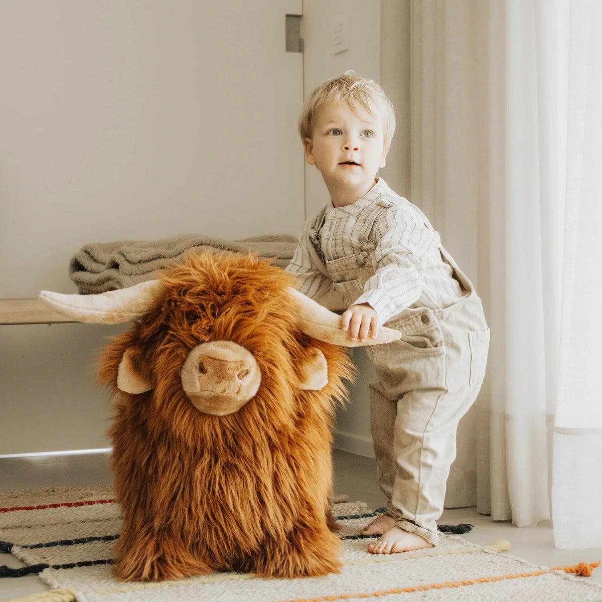 Soft Bouncy Highland Cow