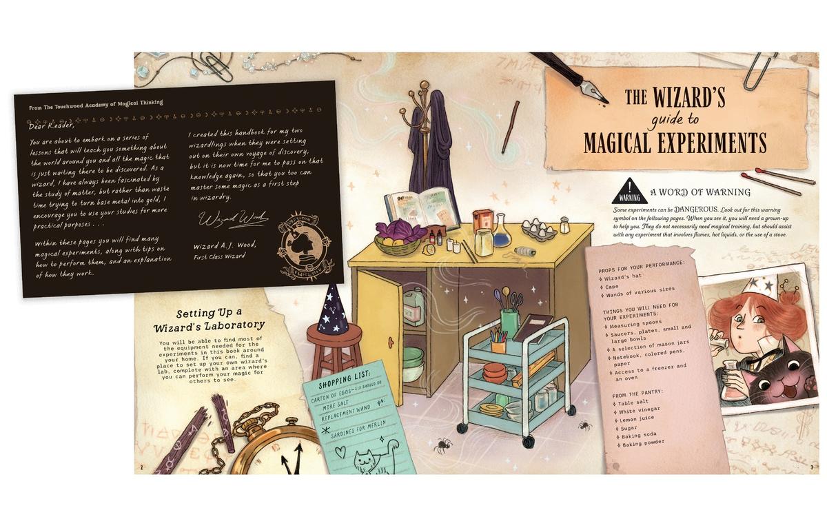 The Wizard's Guide to Magical Experiments