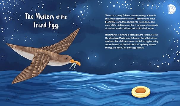 Secrets of the Ocean: 15 Bedtime Stories Inspired by Nature