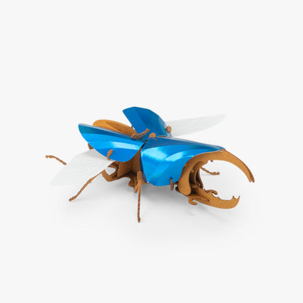 Tout autour... - 3D Puzzles