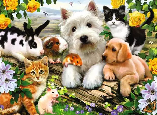 Happy Animal Buddies - 300 XXL