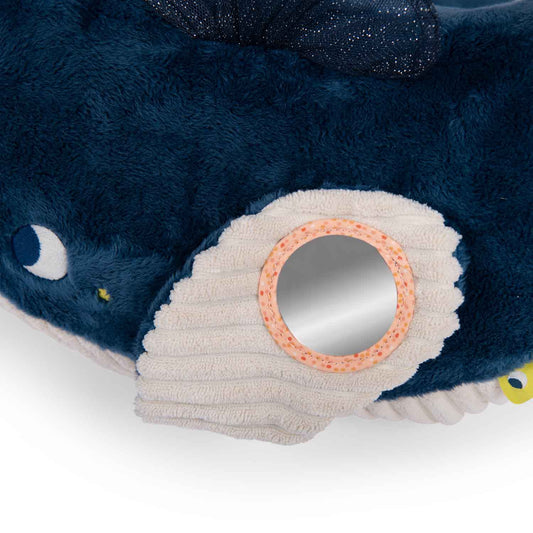 Aventures de Paulie - Large Activity Whale