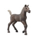 Schleich -  Foal Darcy