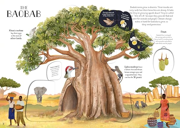 The Tree of Life: A lift-the-flap book about the amazing animals that live in trees around the world