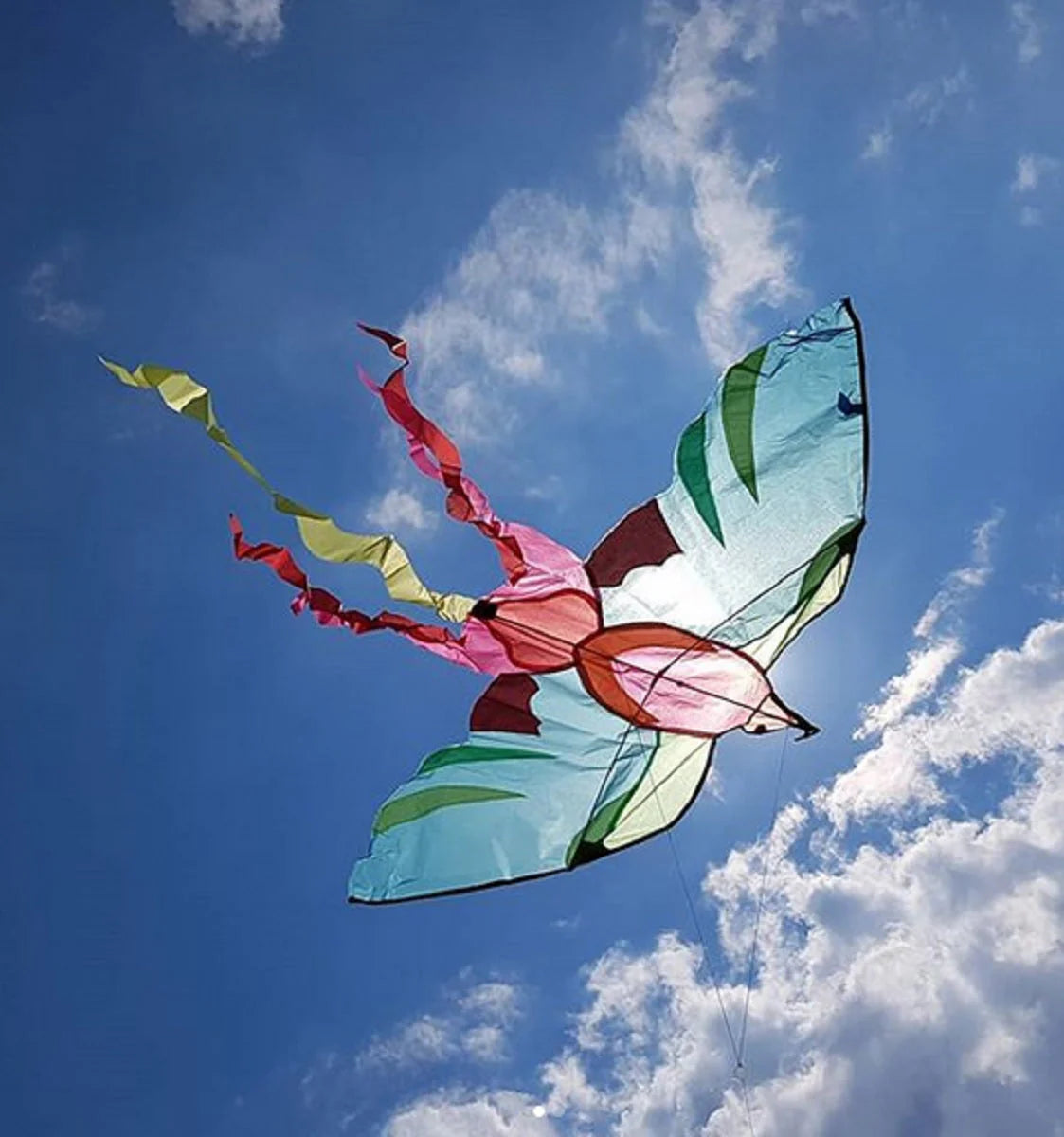 Aujourd Hui Cest Mercredi - Bird Kite