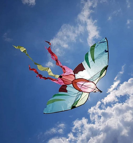 Aujourd Hui Cest Mercredi - Bird Kite