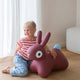 Hoppi - Bouncing Bunny