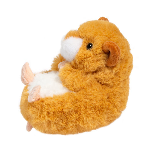 Lil Baby Hamster
