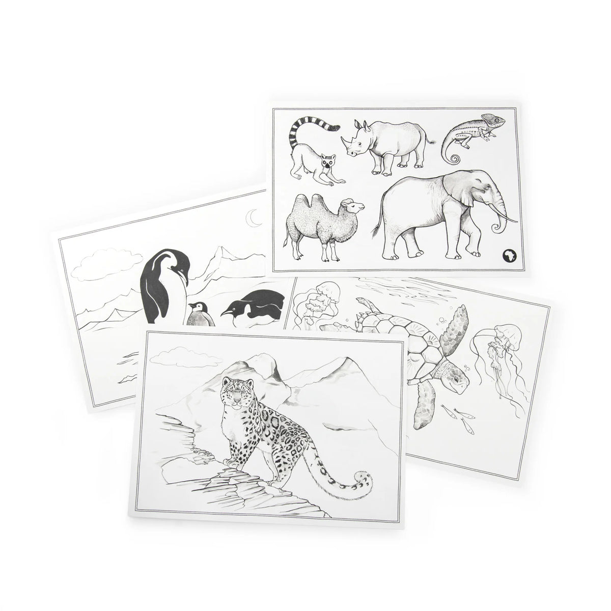 Tout autour... - Drawing Templates 24 pcs