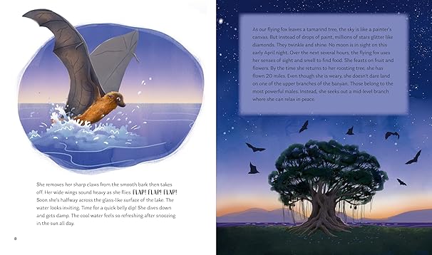 Secrets of the Stars: 15 Bedtime Stories Inspired by Nature