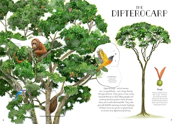 The Tree of Life: A lift-the-flap book about the amazing animals that live in trees around the world