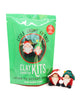 Gnome Buddies DIY Polymer Clay Kit | Christmas Craft Kit