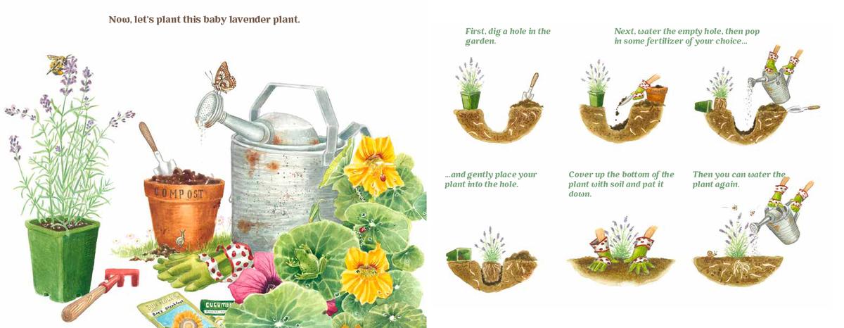 Garden Wonders A Guidebook for Little Green Thumbs