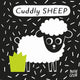 Baby's First Cloth Book Cuddly Sheep