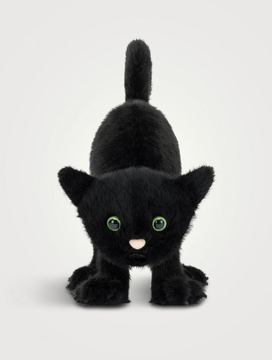 Jellycat Spookipaws Cat
