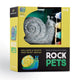 Paint Your Rock Pets (Snail)